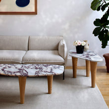 Load image into Gallery viewer, Petra Coffee Table - Breccia Marble
