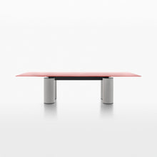 Load image into Gallery viewer, Serenissimo - Top Pink Cast Glass - Base White Encaustic