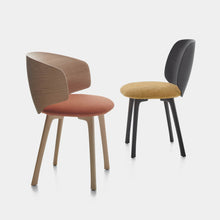 Load image into Gallery viewer, Universal Chair and Universal Armchair - Wooden Back - 4-Legged Base