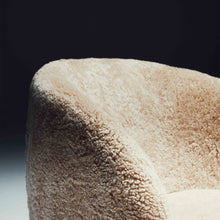 Load image into Gallery viewer, Moro