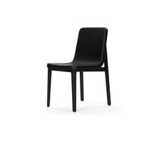Load image into Gallery viewer, Sedan Chair - Black - Black