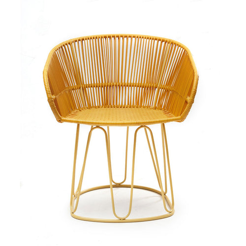 Circo Dining Chair - Honey Yellow/Yellow