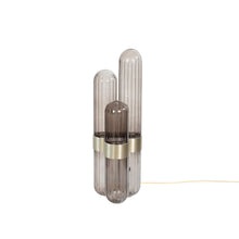 Load image into Gallery viewer, Cactus - Small - Smoky Grey - Brushed Brass