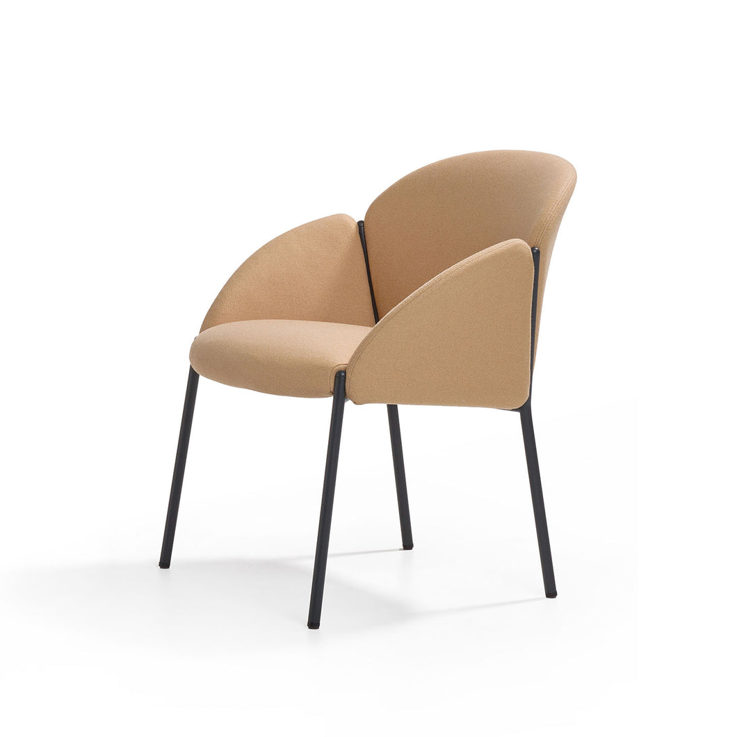 Andrea Lounge Chair